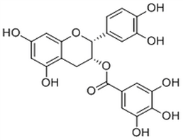 Epicatechin gallate,Epicatechin gallate