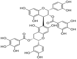 Procyanidin B-5 3,3'-di-O-gallate