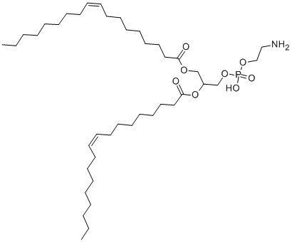 二油酰基 L-α-磷脂酰乙醇胺,L-α-Phosphatidylethanolamine, dioleoyl