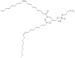 二油酰基 L-α-磷脂酰乙醇胺,L-α-Phosphatidylethanolamine, dioleoyl