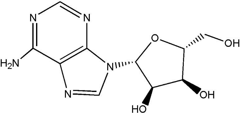 腺苷,Adenosine(AR)