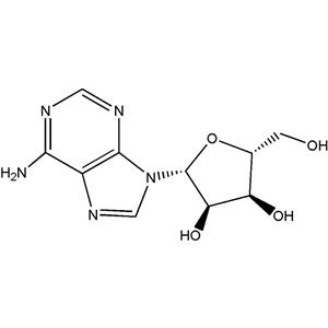 腺苷,Adenosine(AR)