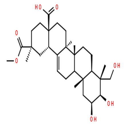 商陆皂苷元,Olean-12-ene-28,29-dioicacid, 2,3,23-trihydroxy-, 29-methyl ester, (2b,3b,4a,20b)-