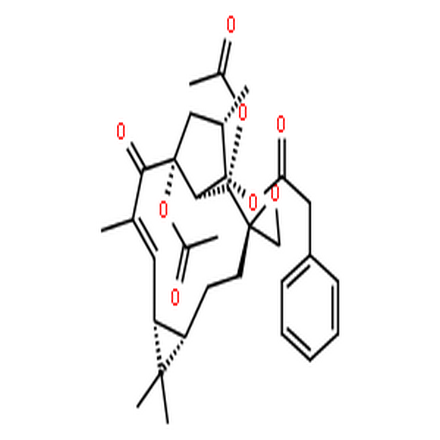 大戟因子L1,Euphorbia factor L1