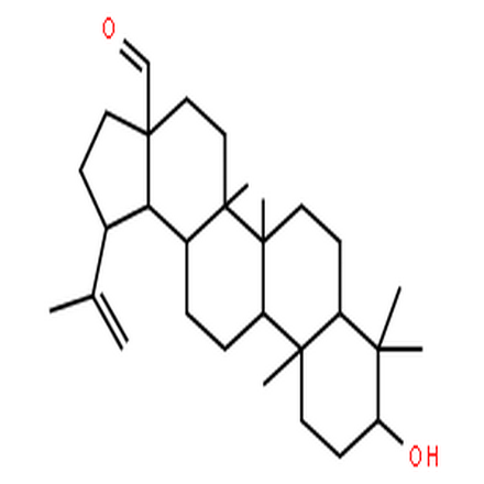 白樺脂醛,Betulinicaldehyde