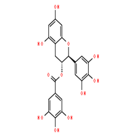 没食子儿茶素没食子酸酯,(-)-Gallocatechin gallate