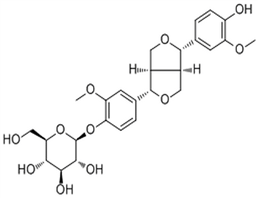 (+)-Pinoresinol 4-O-glucoside,(+)-Pinoresinol 4-O-glucoside