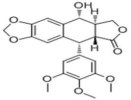 Podophyllotoxin,Podophyllotoxin