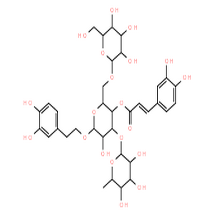 松果菊苷,echinacoside