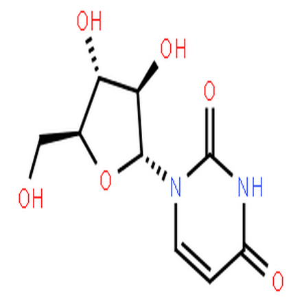 尿苷,Uridine