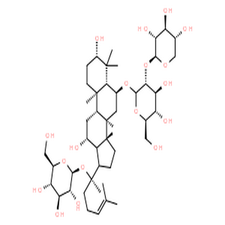 三七皂苷R1,netoginsenoside R1