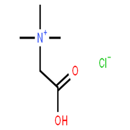 盐酸甜菜碱,Betaine hydrochloride