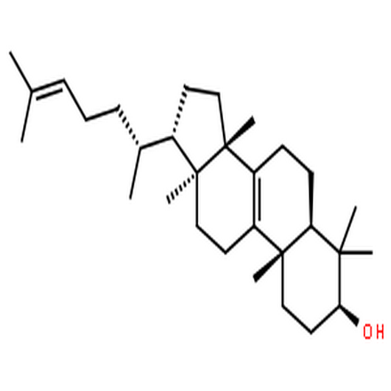 大戟二烯醇,Lanosta-8,24-dien-3-ol,(3b,13a,14b,17a)-