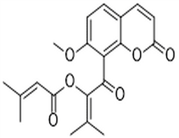 Kimcuongin