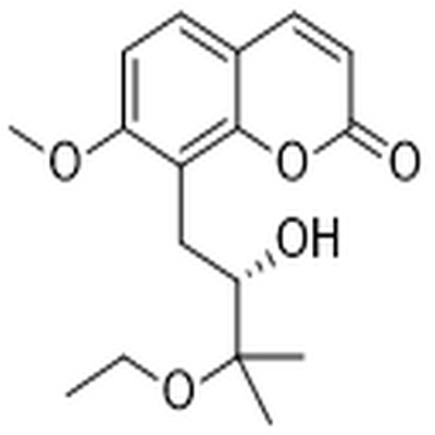 Yuehgesin C,Yuehgesin C