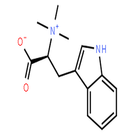 刺桐碱,1H-Indole-3-ethanaminium,a-carboxy-N,N,N-trimethyl-, innersalt, (aS)-