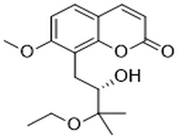 Yuehgesin C