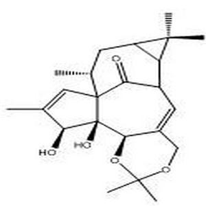 巨大戟醇-5,20-缩丙酮,(6R)-6,6aβ,7aβ,8,9,12,12a,12bβ-Octahydro-12α,12aα-dihydroxy-2,2,7,7,9β,11-hexamethyl-7H-6β,9aβ-methano-4H-cyclopenta[9,10]cyclopropa[5,6]cyclodeca[1,2-d]-1,3-dioxin-13-one