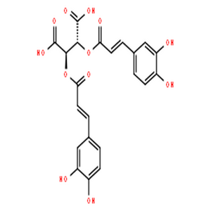 二咖啡酰菊苣酸,l-Chicoric acid