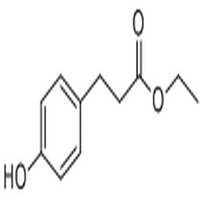 Ethyl 3-(4-hydroxyphenyl)propionate,Ethyl 3-(4-hydroxyphenyl)propionate