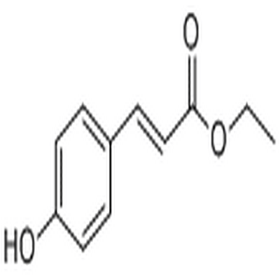 p-Coumaric acid ethyl ester,p-Coumaric acid ethyl ester