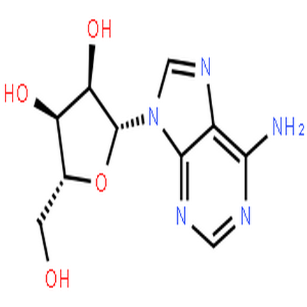 腺苷,Adenosine