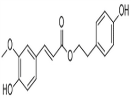 p-Hydroxyphenethyl trans-ferulate,p-Hydroxyphenethyl trans-ferulate