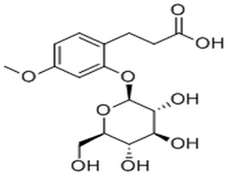 3-(2-Glucosyloxy-4-methoxyphenyl)propanoic acid,3-(2-Glucosyloxy-4-methoxyphenyl)propanoic acid