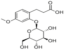 3-(2-Glucosyloxy-4-methoxyphenyl)propanoic acid