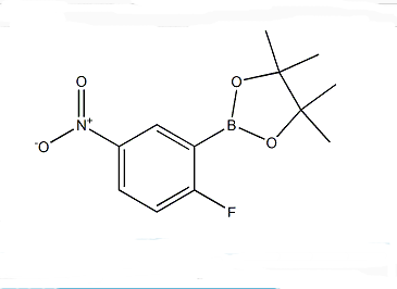 2-氟-5-硝基苯硼酸频哪醇酯,2-FLUORO-5-NITROPHENYLBORONIC ACID PINACOL ESTER