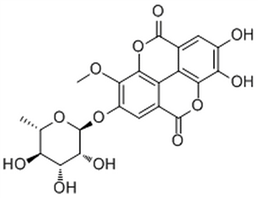 3-O-Methylellagic acid 4-O-rhamnoside