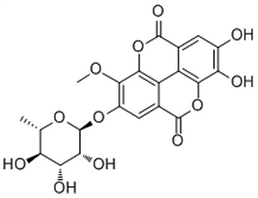 3-O-Methylellagic acid 4-O-rhamnoside,3-O-Methylellagic acid 4-O-rhamnoside