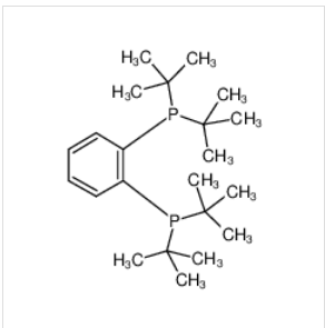 1,2-双（二叔丁基膦基）苯,1,2-bis(di-tert-butylphosphino)benzene