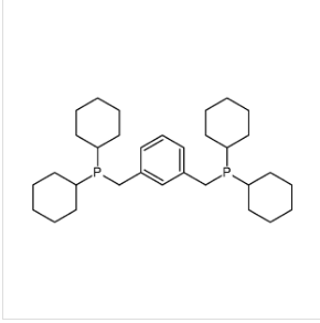 1,3-双（二环己基膦基甲基）苯,1,3-bis(dicyclohexylphosphinomethyl)benzene