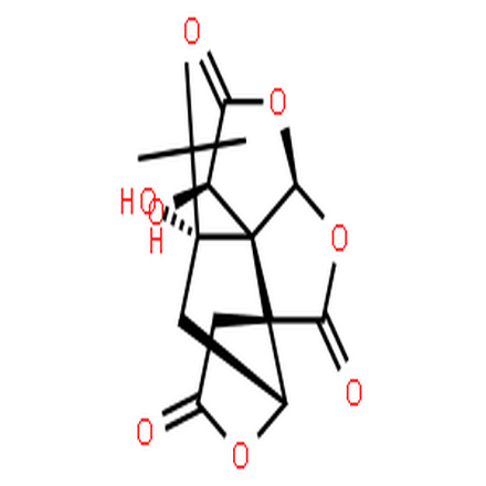 白果内酯,Bilobalide