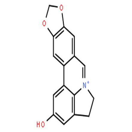 氧化石蒜碱,Lycobetaine