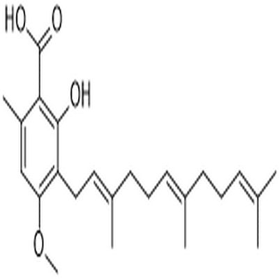 4-O-Methylgrifolic acid,4-O-Methylgrifolic acid