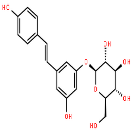 虎杖苷,Polydatin