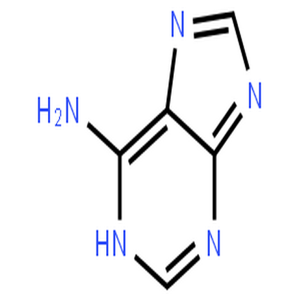 腺嘌呤,1H-Purin-6-amine