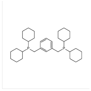 1,3-双（二环己基膦基甲基）苯