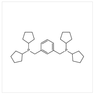 1,3-双(二甲基环戊膦基)苯