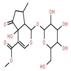 5-羟基马鞭草苷,Hastatoside