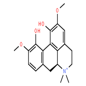木兰花碱,Magnoflorine