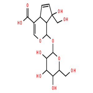 水晶兰苷,monotropein