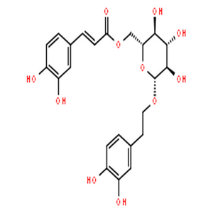 木通苯乙醇苷B,Calceorioside B