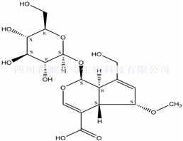 6-甲氧基京尼平苷酸,9-epi-6-Methoxygeniposidic acid