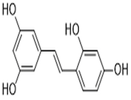 Oxyresveratrol