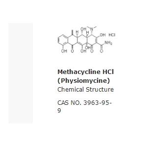 Methacycline HCl (Physiomycine)