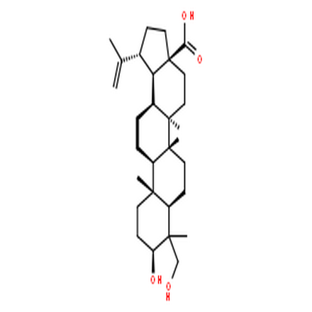 23-羟基白桦酸,23-HYDROXYBETULINIC ACID
