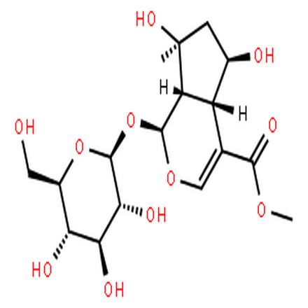 山栀苷甲酯,Cyclopenta[c]pyran-4-carboxylicacid, 1-(b-D-glucopyranosyloxy)-1,4a,5,6,7,7a-hexahydro-5,7-dihydroxy-7-methyl-,methyl ester, (1S,4aS,5R,7S,7aS)-